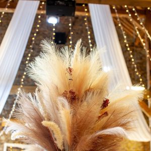 Fleurs séchées - pampa