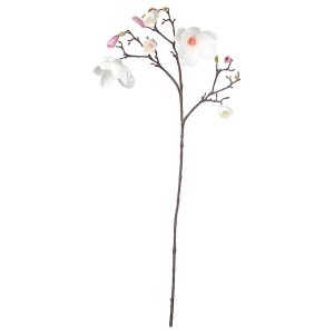 Branche de magnolia - H 110 cm